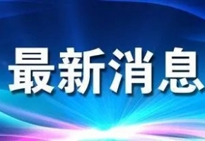 稳增长 促发展 强信心 | “箱”聚春天 “包”您满意